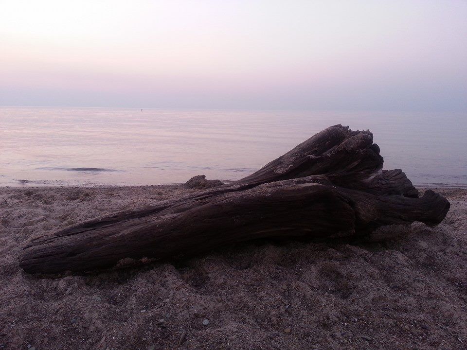 beaches